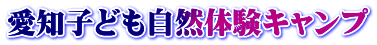 �u�K��J�Ó�